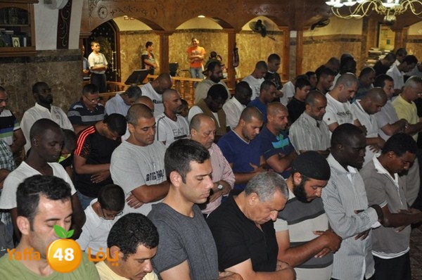 trawe7 mahmodiya 713 (31).JPG